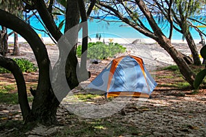 Cámping sobre el Playa sobre el Costa de laguna molde isla fidelidad islas nuevo 