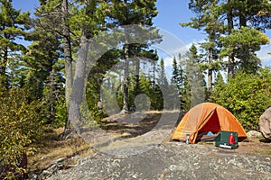 Campsite with orange tent below big pines and blue sky on sunny afternoon in northern Minnesota