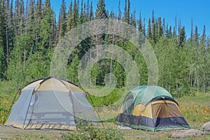 Campsite with tents in Freeman Reservoir Campground. In the Routt National Forest of the Rocky Mountains in Colorado. photo