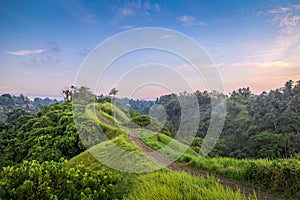 Campuhan Ridge, Ubud, at sunrise.