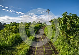 Campuhan Ridge Walk, scenic hiking trail in Ubud, Bali, Indonesia