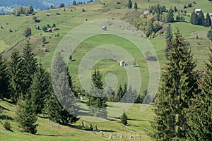 CAMPULUNG MOLDOVENESC, TRANSYLVANIA/ROMANIA - SEPTEMBER 18 : Far