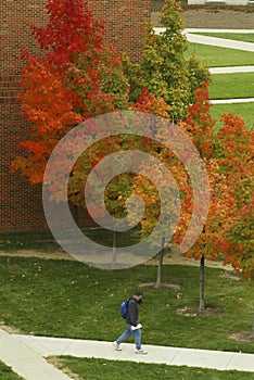 Campus in Autumn