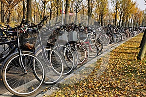 Campus bicycles in autumn