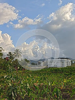 Campus at the end of the estate