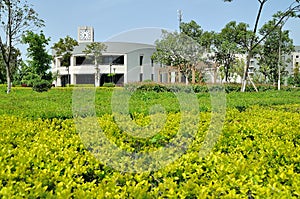 The campus of Northwestern Polytechnical University