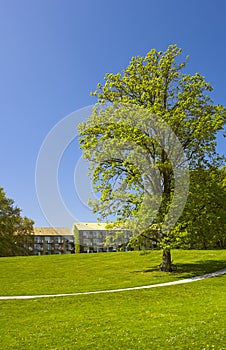 Campus park in Denmark