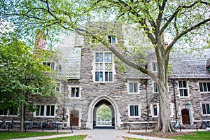 The Campus of Princeton University photo