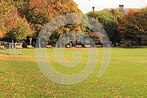 Campus of Trinity College in Dublin - Ireland elite educational university - Dublin tourism - Autumn shades - fallen leaves