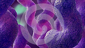 Campylobacter 3d illustration