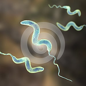 Campylobacter bacteria, 3D illustration photo