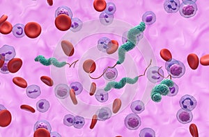 Campylobacter jejuni bacteria - 3d illustration isometric view photo
