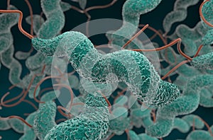 Campylobacter jejuni bacteria 3d render illustration closeup photo