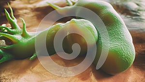 Campylobacter jejuni bacteria - scanning electron microscope -closeup - 3D Rendering photo