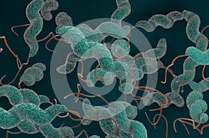 Field of Campylobacter jejuni bacterias top view 3d render illustration photo