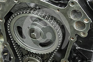 Camshaft drive gear with double-row chain close-up