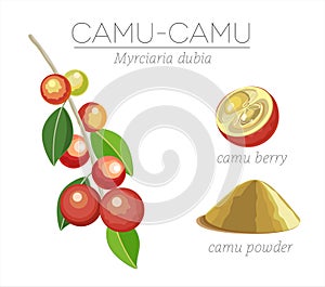 Camu superfood photo