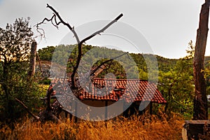 CAMYUVA, TURKEY: The destroyed buildings of the old hotel Holiday Area Eco Dream Club Sea Resort in the forest.