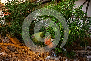 CAMYUVA, TURKEY: The destroyed buildings of the old hotel Holiday Area Eco Dream Club Sea Resort in the forest.