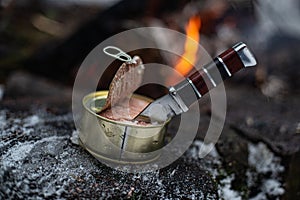 A can of canned meat with a hunting knife on a tree trunk by the fire.