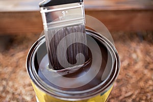 Can of dark brown wood stain and paint brush