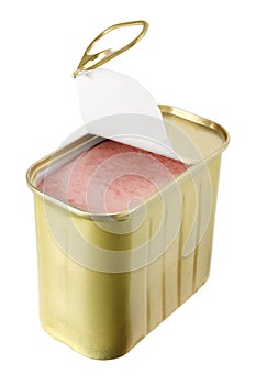 Can of Luncheon Meat photo