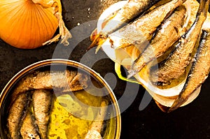 Can of sardines or sprats