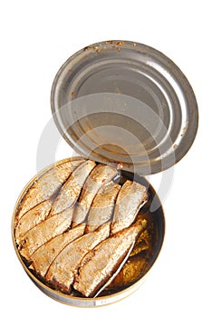 Can of sprats in oil isolated photo