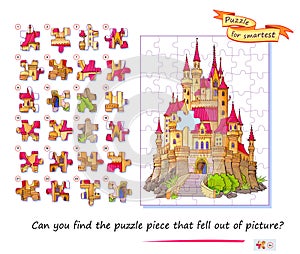 Can you find the puzzle piece that fell out of picture? Logic game for children and adults. Page for kids brain teaser book. Task