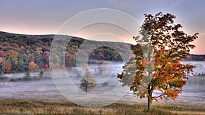 Canaan Valley Fall Scene