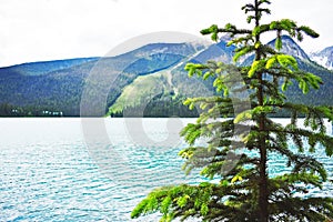 Canada_alberta_emerald