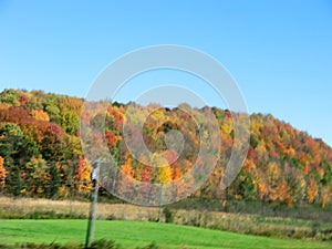 Canada in Autumn - Beautiful Colorful Trees
