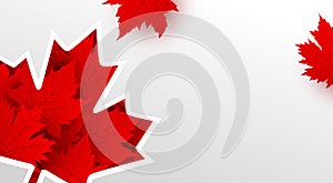 Canada day banner design of maple leaves on white background with copy space Vector illustration