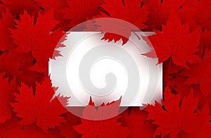 Canada day design of blank white paper and red maple leaves