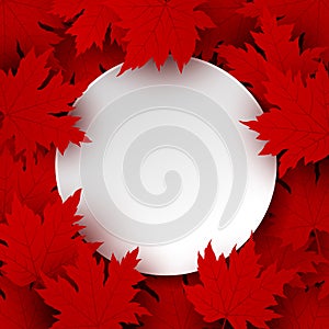 Canada day design of blank white paper and red maple leaves