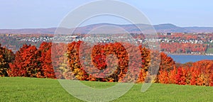 Canada fall landscape during sunny day