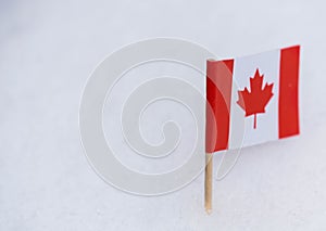 Canada flag made from paper with brown toothpick on white snow background.