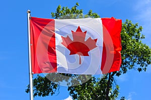 Vlajka v dvě barvy sestávající z tři vertikální pruhy javor list v z bílý 