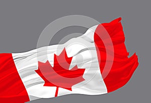 Canada flag waving in the wind isolated on grey background 3D render