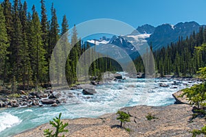 Canada forest landscape with big mountain in the background and the river flowing at Mistaya Canyon, Alberta