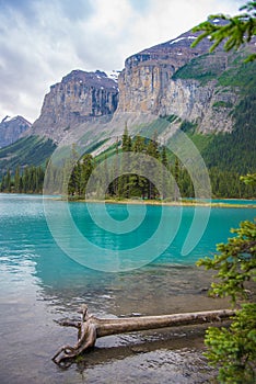 Canada forest landscape of Spirit Island with big mountain in the background, Alberta, Canada