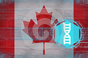 Canada gene engineering. DNA concept.