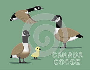 Canada Goose Cartoon Vector Illustration