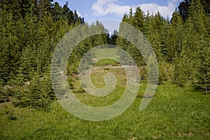 Canada landscape - Banff National Park, Alberta - summer travel to mountains, trails, coniferous forest and beautiful blue sky.