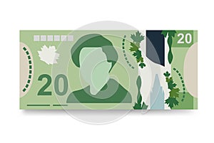 Canada money set bundle banknotes.