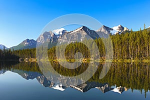 Canada Mountains Sunrise Forest Lake Landscape Reflection