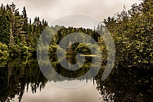 Canada Ontario Lake of two rivers natural wild landscape near the water in Algonquin National Park