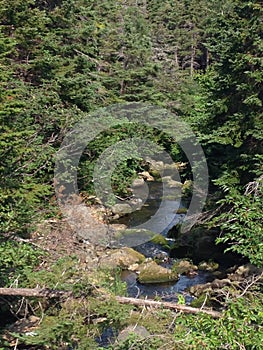 Canada river newfoundland