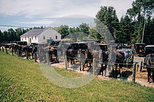 Canada - september 12th 2023 Mennonites DATE. Mennonite horses and buggies