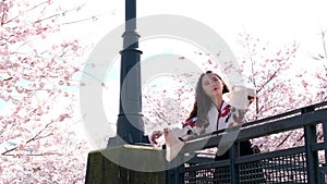 Canada Vancouver all people are photographed in parks against the backdrop of cherry blossoms a girl in a beautiful